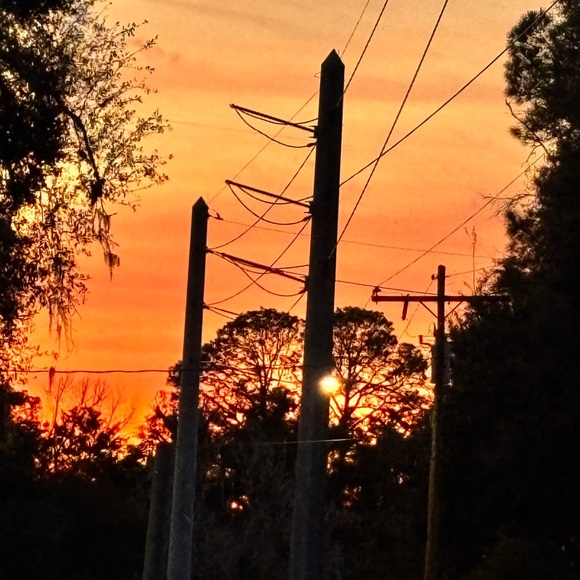 Accessories - Flyers